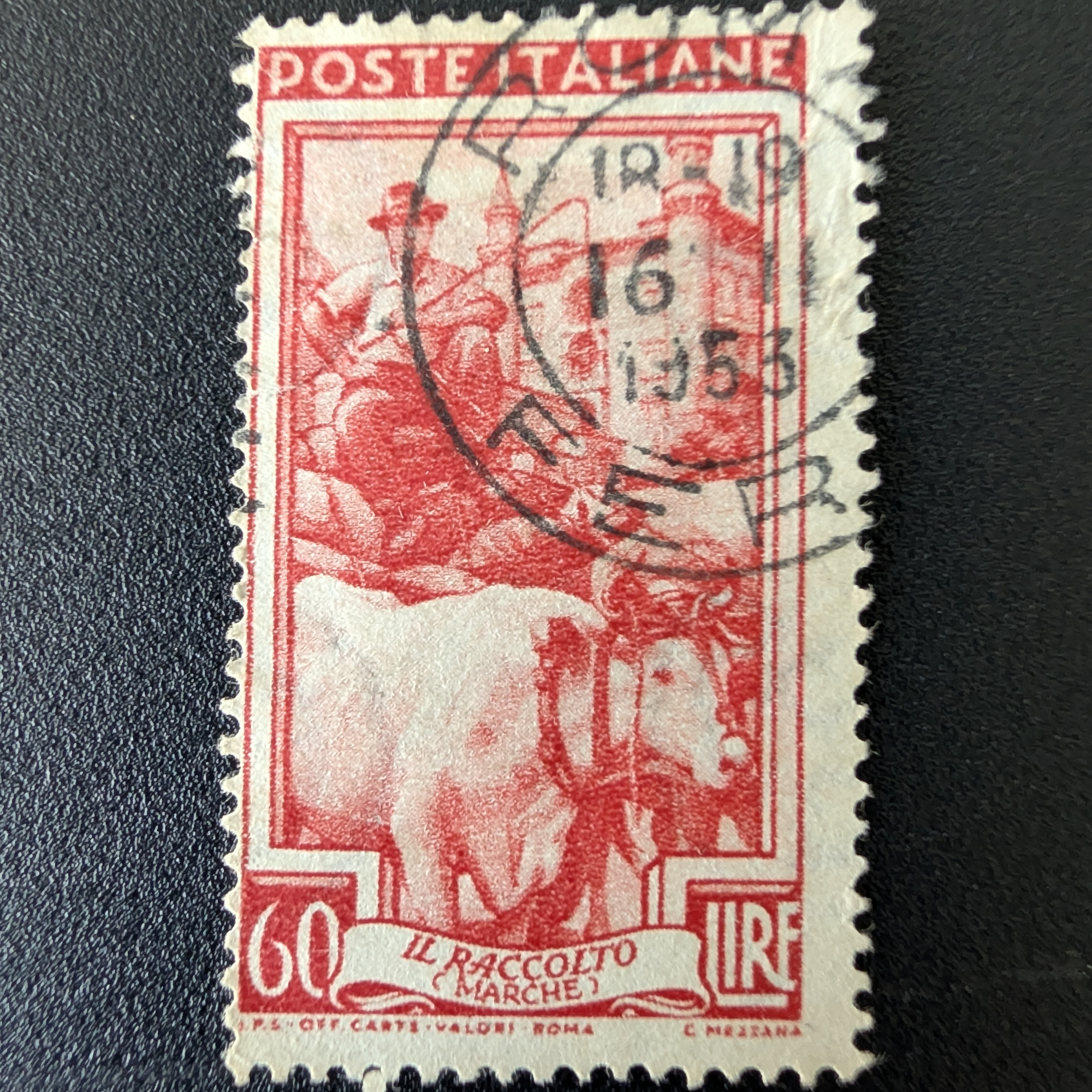 Agricultural harvest scene