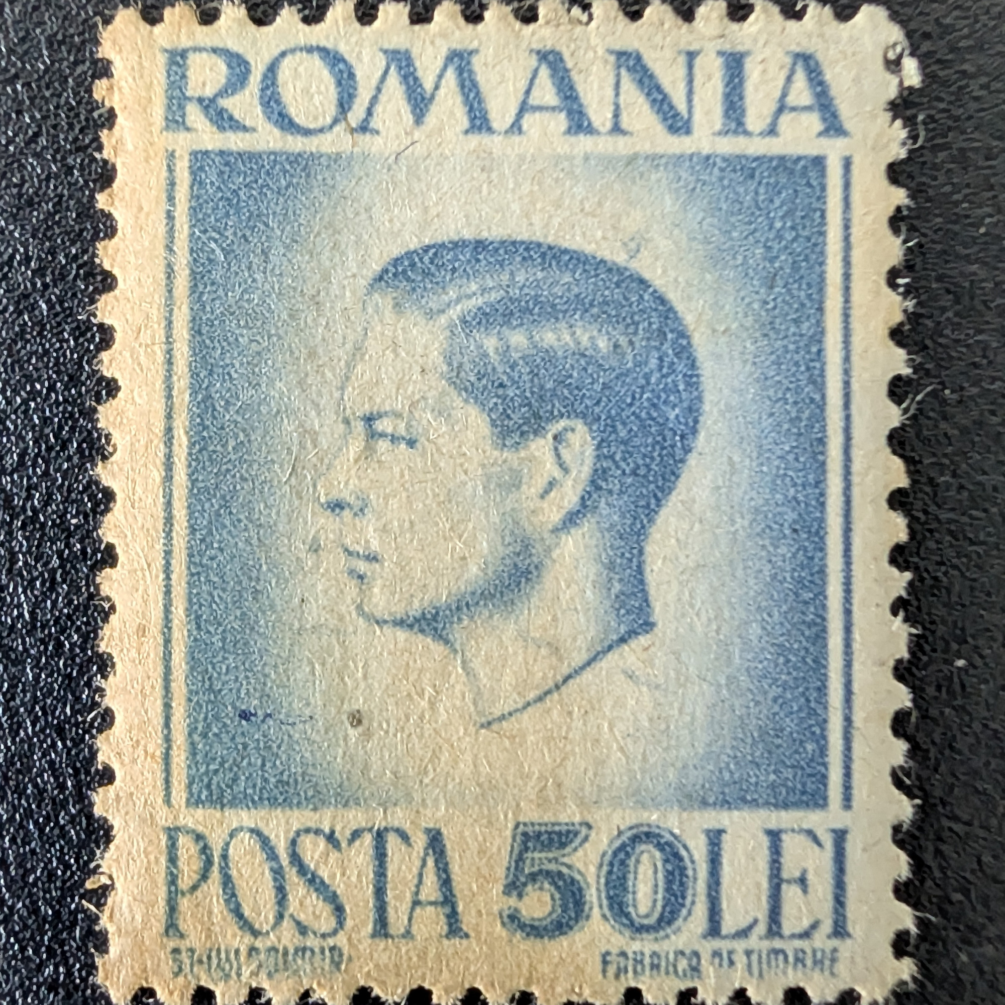 Male portrait in profile