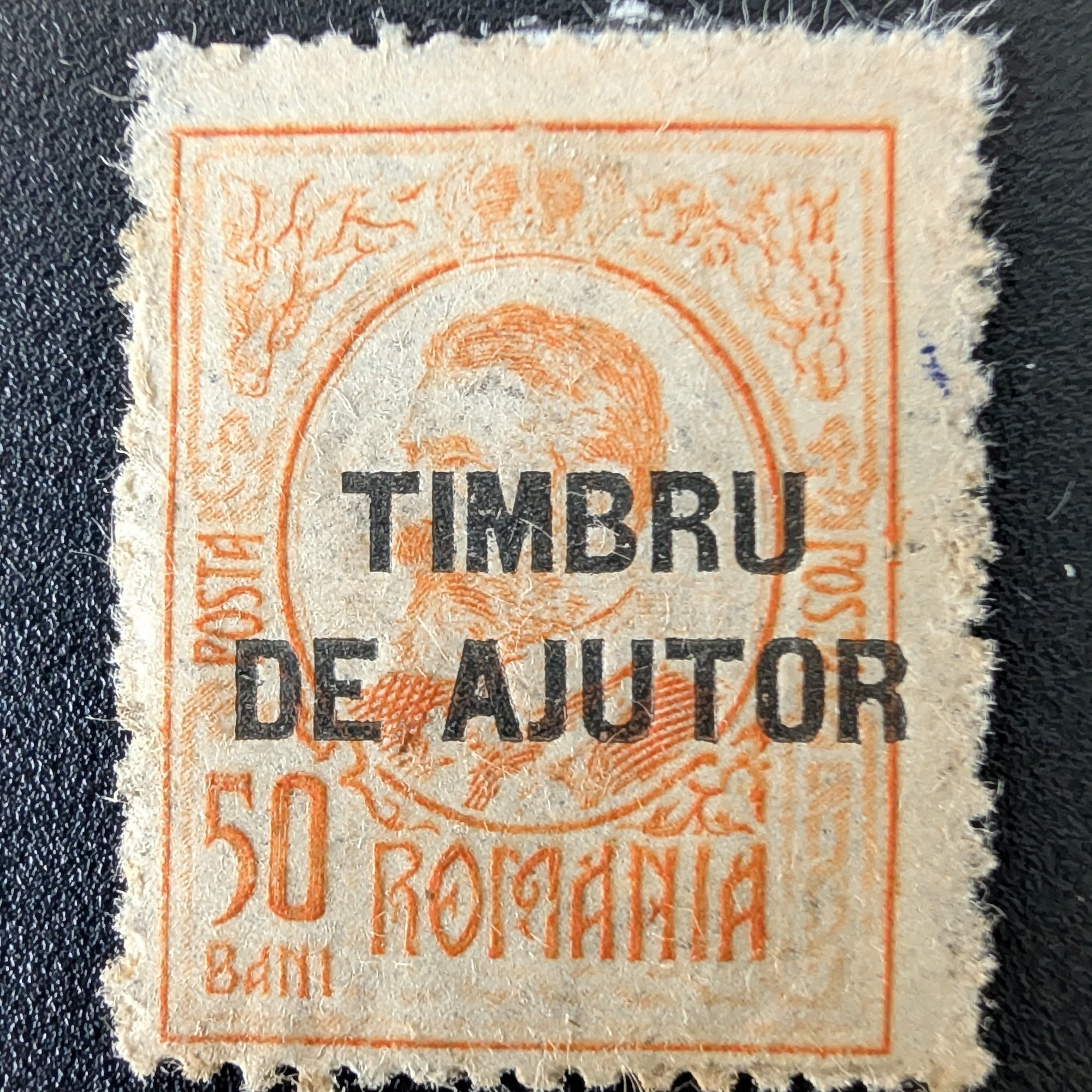 Portrait of a bearded man